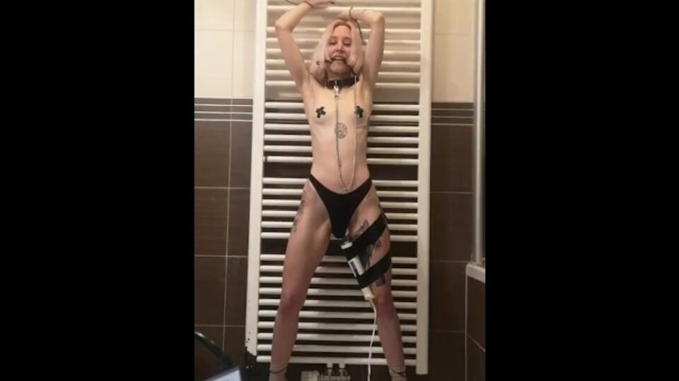 Verified Amateurs - degradation smut Free Porn Videos | BestPornHubs.