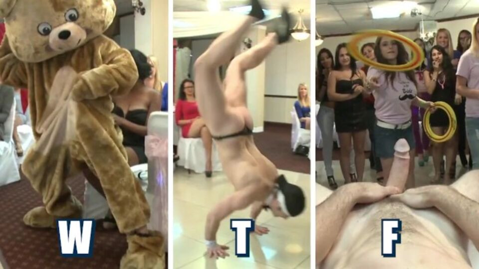 Blowjob xxx with perky lover from Dancing Bear Free Porn Videos | BestPornHubs.