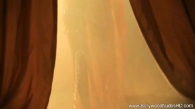 Watch amorous kitten's porn