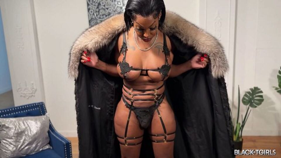 Spicy Temptation at trans smut Free Porn Videos | BestPornHubs.