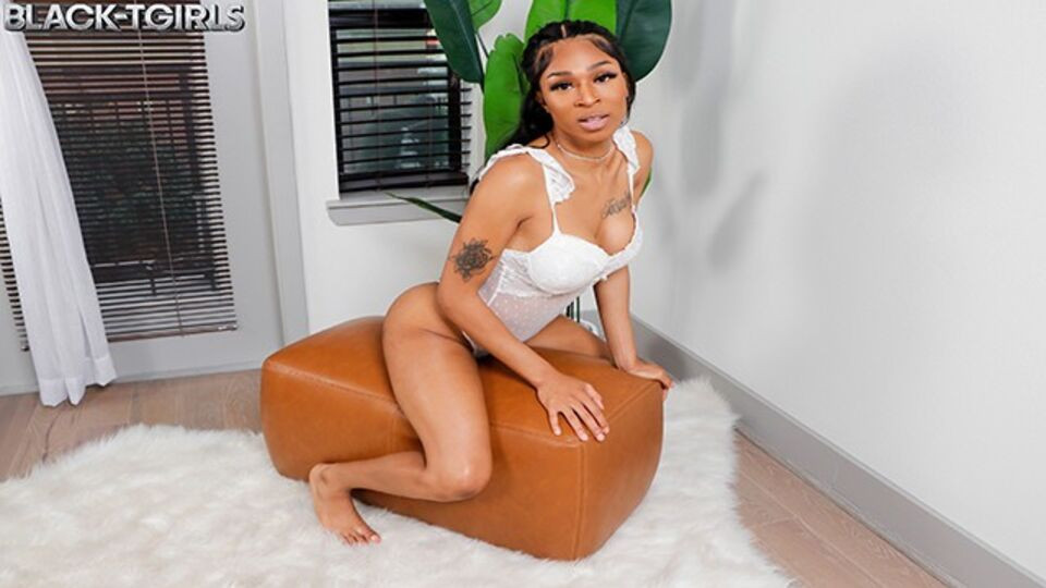 White lingerie scene with admirable hussy from Black TGirls Free Porn Videos | BestPornHubs.